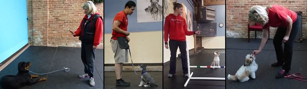 Dog Training Private Lessons