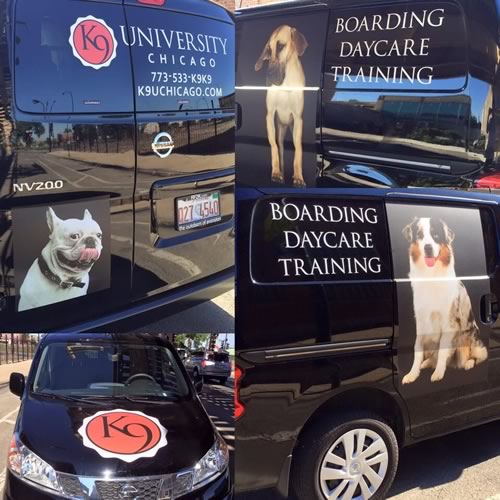 Dog Pick up and Drop off services for boarding and daycare