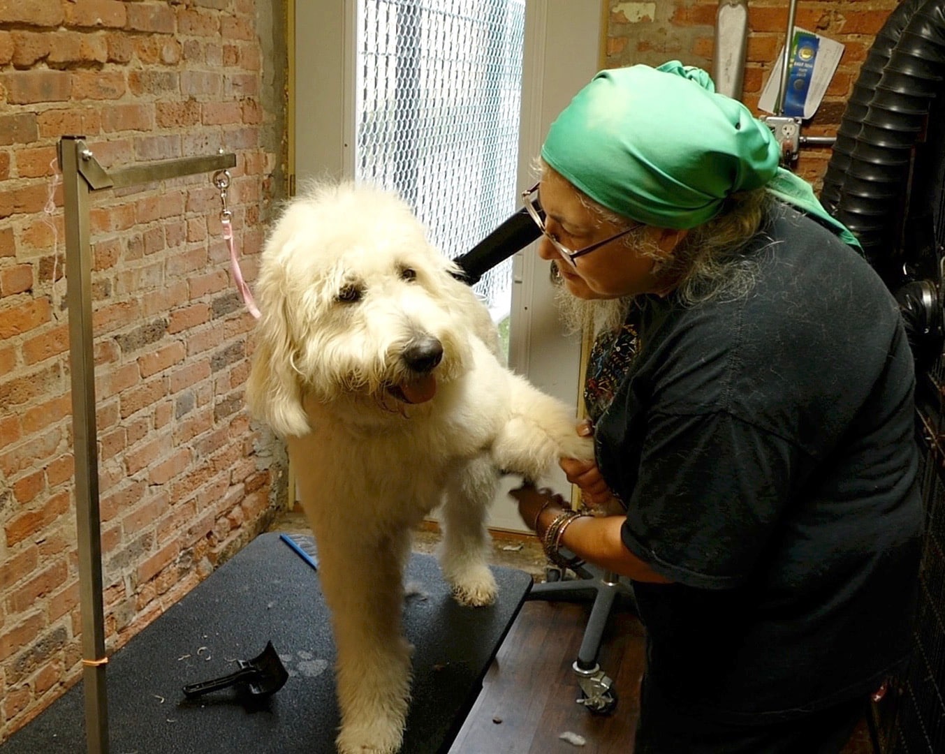 Dog Grooming services at K9 University Chicago Groomer Robyn Michaels