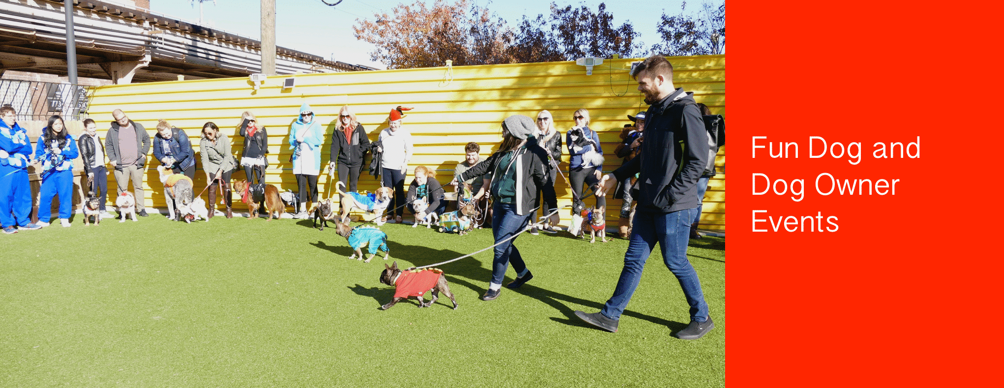 K9 University Chicago Dog daycare and boarding in Chicago, IL