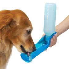 K9U help your dog beat the summer heat Squirt Bottle