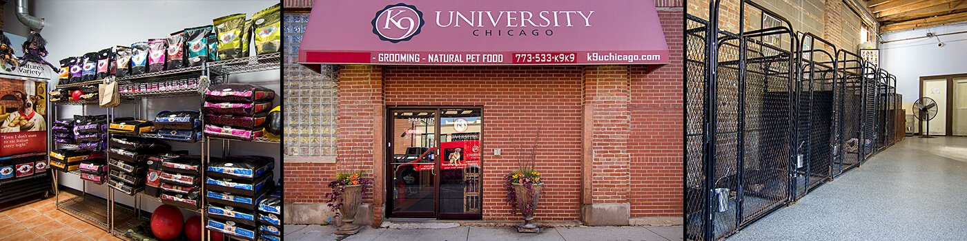 K9 University Chicago Articles
