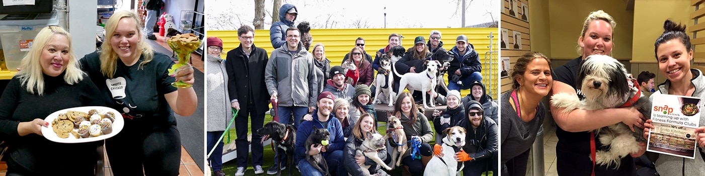 Dog Meetup in Chicago
