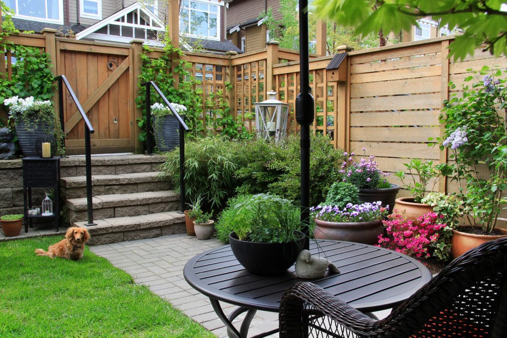 Apartment Patio Ideas for Dogs