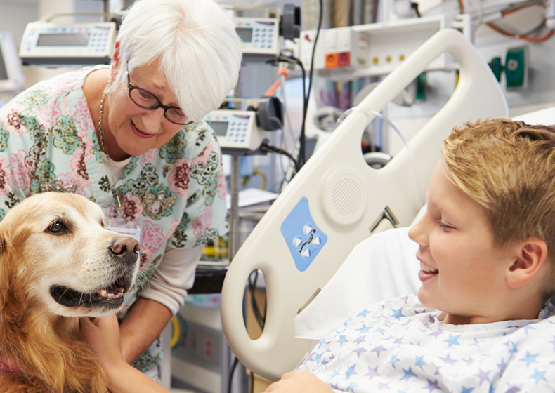 Benafits of Therapy dogs