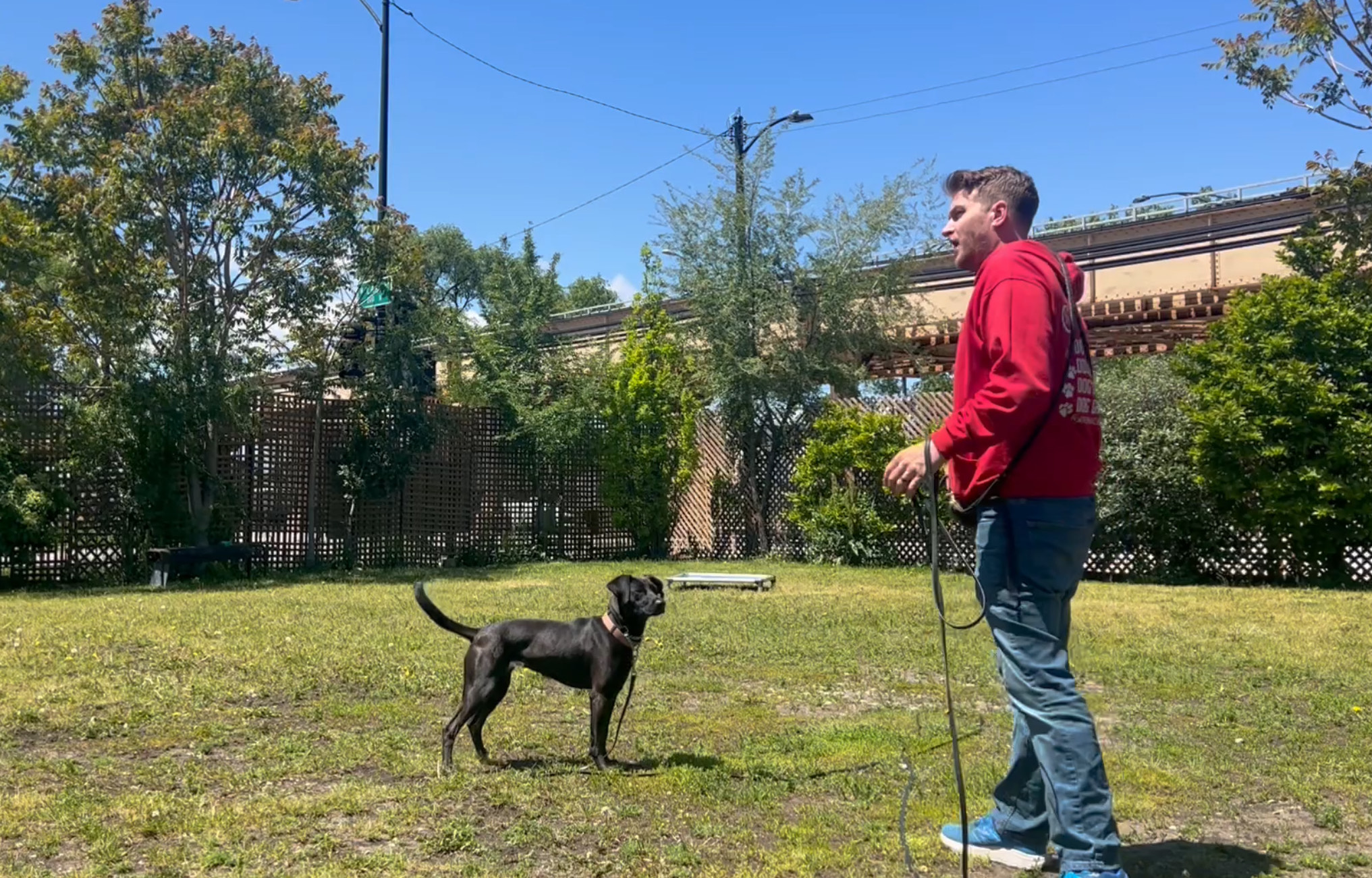 Jonathan Polich Lead Dog Trainer at K9U Chicago working with reactive dog using positive training methods